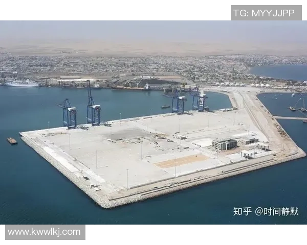 赖斯的外交智慧与全球局势的深刻影响解析